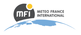 Meteo France International logo