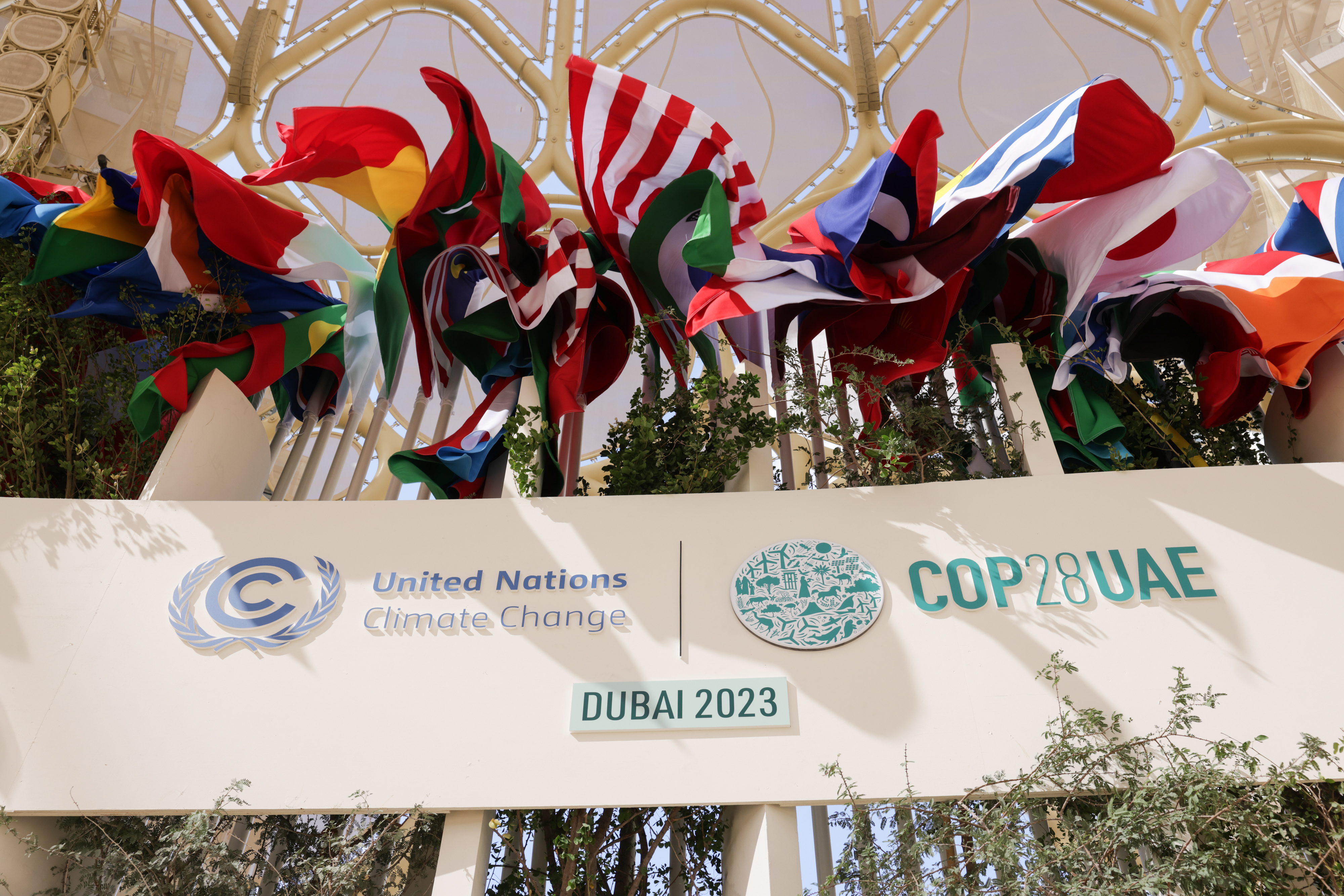 Flags from different countries above the COP28 sign