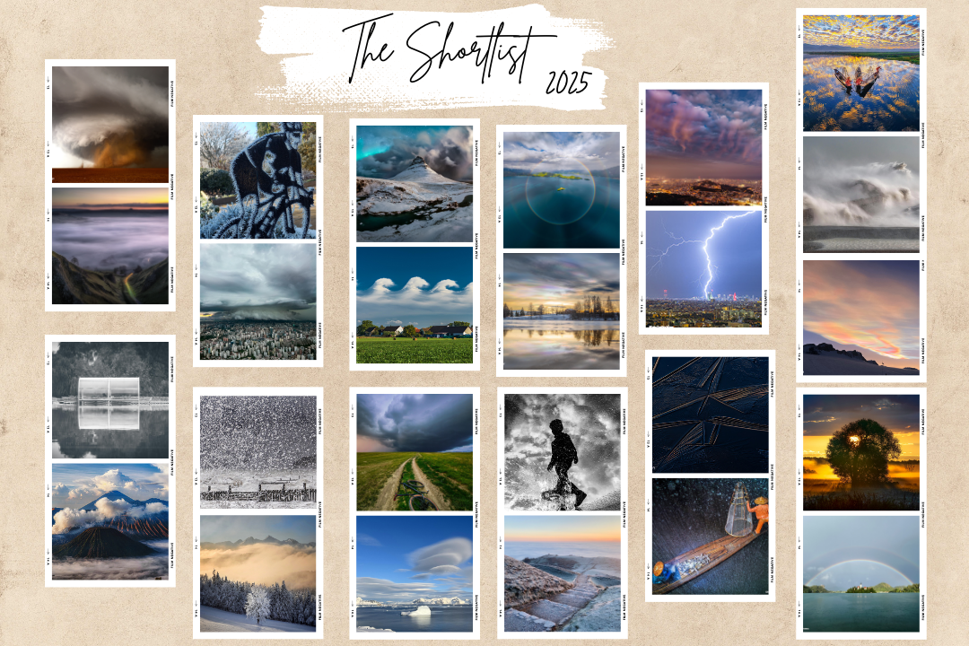 Collage of the 25 images on the shortlist Collage of the 25 images on the shortlist