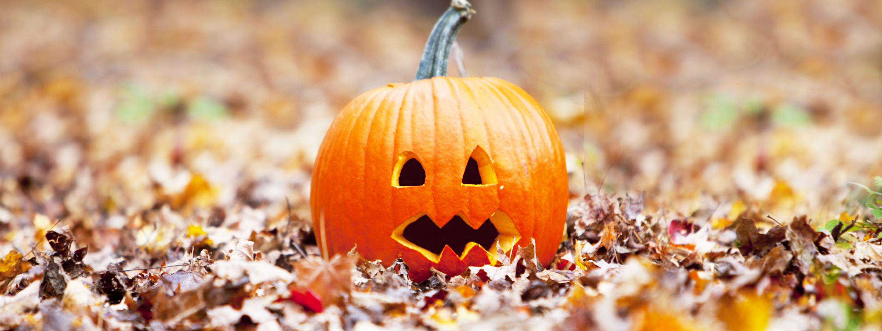 Rainclouds and carved pumpkins – Where is the driest place in the England and Wales in Halloween?
