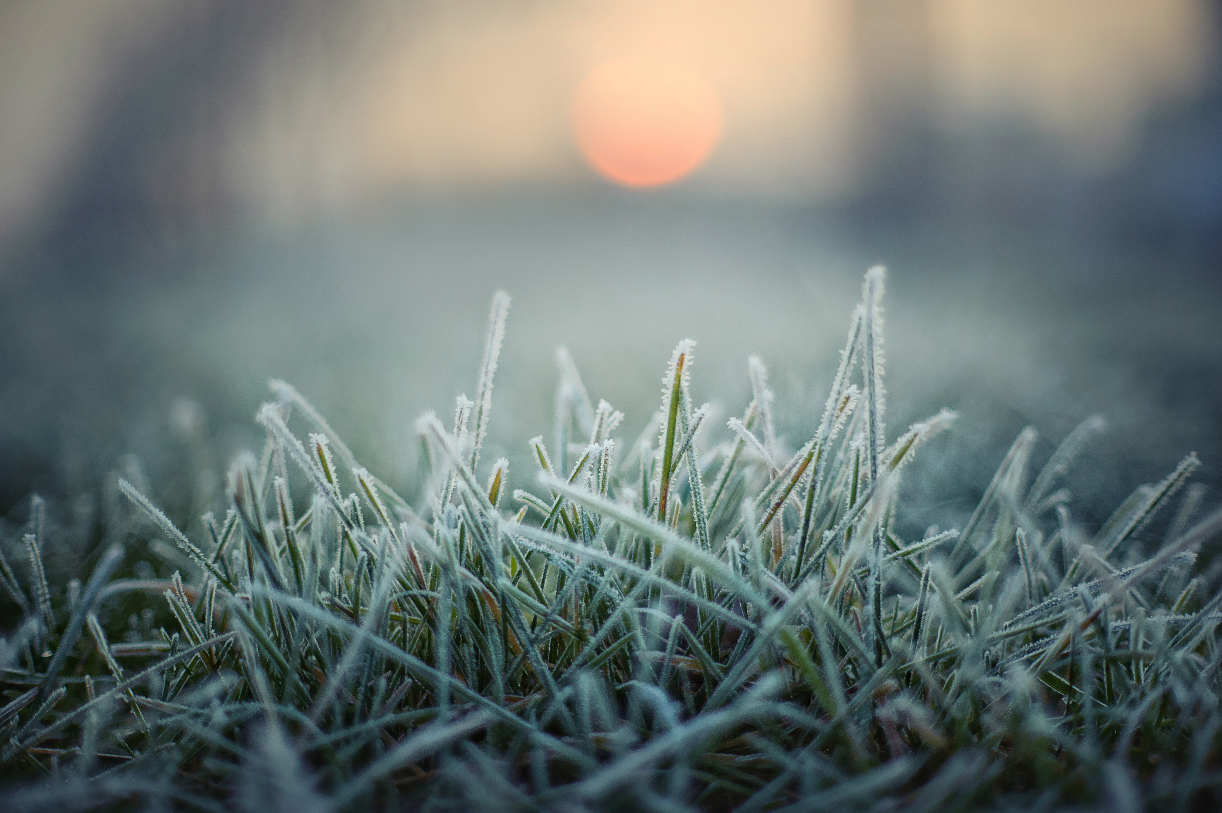 How frost forms and the different types