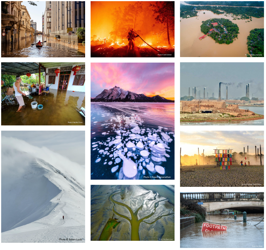 Climate Gallery collage