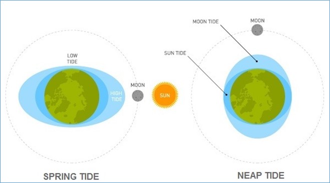 Spring and neap tides