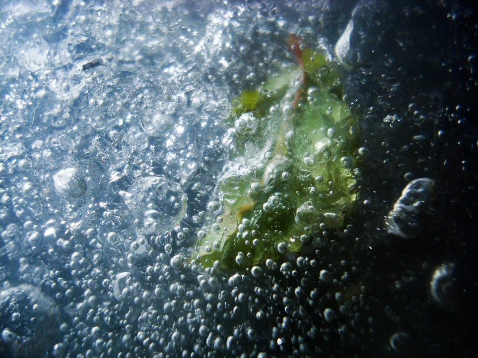 Frozen leaf and bubbles