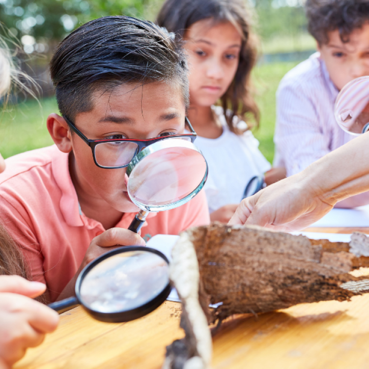 Children looking at bark with magnifying glasses