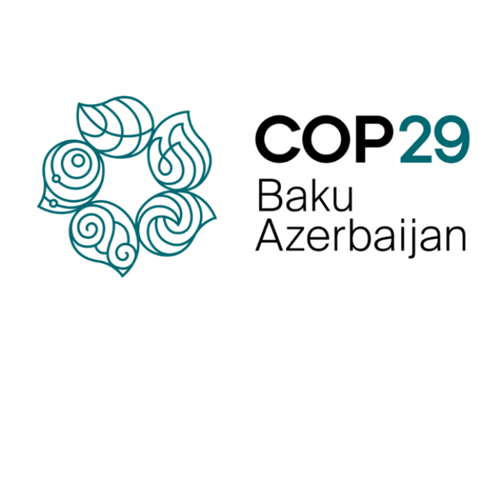 COP29 logo